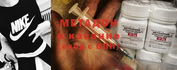 прущие грибы Абинск