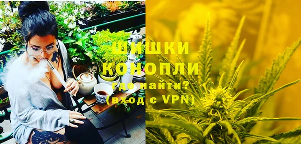 прущие грибы Абинск